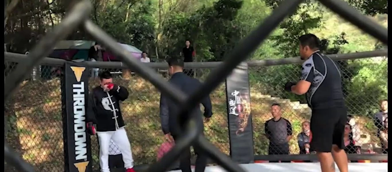 Δάσκαλος του Τάι Τσι αντιμετωπίζει έναν μαχητή MMA (βίντεο)